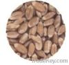Wheat | Wheat exporter...