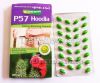 Hoodia weight loss capsule, herbal diet pills