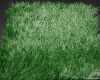 Artificial Grass For Football M53