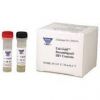 UniGold HIV 1/2 Test Kits