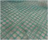 Beautiful Grid Wire Mesh(professional factory, competitive price)