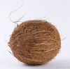 Semi & Fully husked coconut