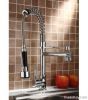 Professional Kitchen Faucet With Pull Out Spray