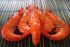 Cooked HOSO Black Tiger  