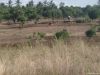 167 acres in Kilifi Mjibu area