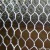 Hexagonal wire netting