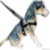 Pet harness and leash