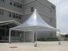 8x8m pagoda tent with clear roof and wall