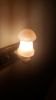 Mushroom Shape Himalayan Salt Night Light