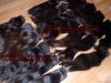 clip in hair extension