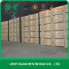 Pine LVL Scaffolding Plank, LVL Scaffolding Board