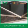 Exterior Grade WBP plywood /Marine plywood / Film faced plywood / Phenolic plywood