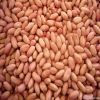 Peanut kernel, blanched peanut kernel