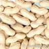 Peanut kernel, blanched peanut kernel