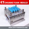 PPR pipe ftiting mould