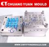 PPR pipe ftiting mould