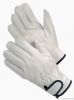 JS136GA/K Goat Grain Leather Glove