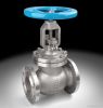 stainless globe valve