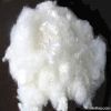 Polyester Staple Fibre