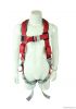 3 PT Full Body Harness with shock Absorbing Lanyards