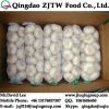 China Pure White Garlic In 30LB/Carton 