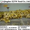 Air Dried Ginger Price From China