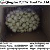 Fresh Garlic 5.5CM For USA Market, Purple Garlic &amp; White Garlic 5PCS