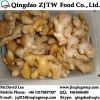 Air Dried Ginger Price From China