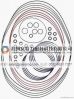 China O-Rings, Oil Seal & Hydraulic & Fluid Seals supplier