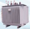 Oil Immersed Power Transformer