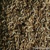 Pine Wood Pellets for ...