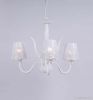 Modern Chandeliers & Pendant Light