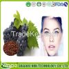 100% organice grape seed extract powder