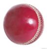 Cricket Hard Balls