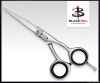 Razor Edge Scissor