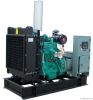Diesel and Gasoline Ge...
