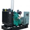 Diesel and Gasoline Ge...
