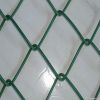(ISO9001;CE) PVC Coated Chain link fence