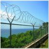 (ISO9001;CE) PVC Coated Chain link fence