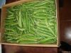 Fresh green Peas
