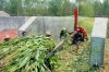 biomass straw crusher