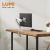 Single Aluminum Gas Spring Monitor Desk Mount