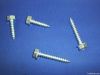 Self tapping screw