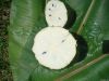 Soursop Frozen Pulp