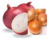 Egyptian Onions