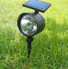 Solar Outdoor Garden Lawn LED Light