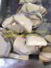 Supply blue shark