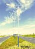 Street Light