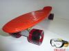 new syle penny fish skateboard(QW-NS-001)