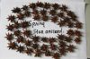 Star anise in spring crop